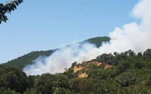 Incendies : Des foyers  en cours à Tavaco et dans le secteur de Porto