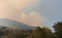 Le feu de Balagne, stabilisé, a finalement parcouru 1 600 hectares