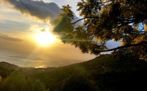 La photo du jour : Le Soleil comme une grosse boule de mimosa à Brandu