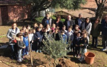 Ajaccio : L'Ecole Notre-Dame de l'Assomption lieu d'apprentissage des valeurs du développement durable