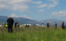 HOP! célèbre la biodiversité de Bastia-Poretta