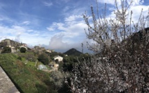 La photo du jour : San Martinu di Lota dans la brume