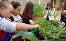 Le printemps s'installe au collège de Moltifau