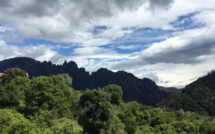 La météo du Lundi 10 Juin en Corse