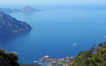 La photo du jour : Girolata et la tour de Capu rossu