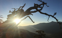 La météo du samedi 7 Septembre 2019 en Corse