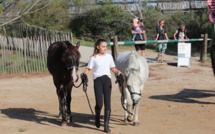 Les résultats du concours d'Équifeel et de TREC à Calvi