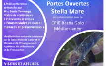 Stella Mare ouvre ses portes ce 16 novembre