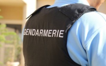 Opération de gendarmerie à Santa-Reparata-di-Balagna : une interpellation