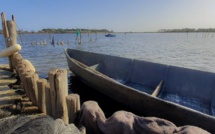 La photo du jour : à bord d'une barque de l'étang de Chjurlinu