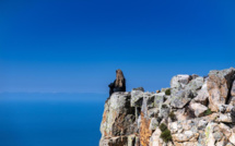 La photo du jour : au Monte Ravu, le ciel et la mer ne font qu'un