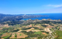 La photo du jour : le beau vignoble de Patrimoniu