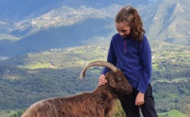 La photo du jour : Nunzia et sa chèvre Vero sur les hauteurs de Sarrola-Carcopino