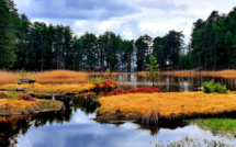 La photo du jour : Le lac de Creno