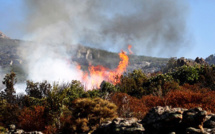 Plusieurs débuts d'incendie en Haute-Corse