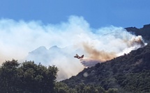 Lumiu : déjà 3 à 4 hectares détruits