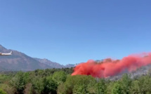 Extreme-Sud : Deux incendies à Roccapina et Figari