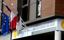 Syndicat de l'énergie de Corse-du-Sud : les élus portent l'affaire devant le conseil d'État