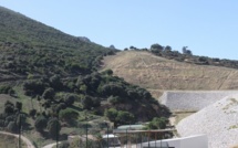 Ajaccio : Dégradations et vol d’un olivier sur le site de l’ancienne décharge de Saint Antoine