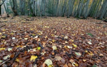 La météo du jeudi 18 novembre 2021 en Corse