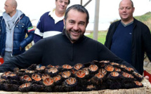 Oursinades géantes sur la presqu'île de la Revellata