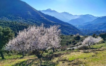 La météo du samedi 5 mars 2022 en Corse