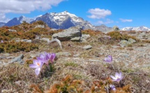 La photo du jour : le Monte d'Oru vu de Bocca Palmentu 