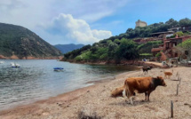 La météo du vendredi 3 juin 2022 en Corse