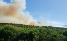 Incendie à Casta : le feu sous contrôle après avoir brûlé 35 hectares de végétation 