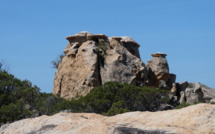 La photo du jour : sur les chemins de Campumoru