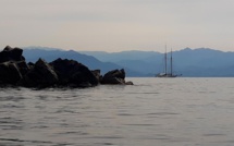 La photo du jour : dans le golfe d'Ajaccio