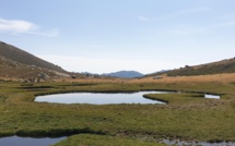 La photo du jour : les pozzine du plateau d'Ese 