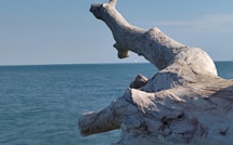 La photo du jour : plage d'Aleria, cherchez le voilier