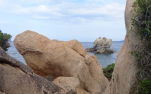 La photo du jour : sur le sentier du littoral à Campumoru