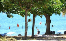 Ajaccio : La rive sud innove encore avec "Les arbres qui lisent"