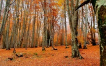 La météo du vendredi 11 novembre 2022 en Corse