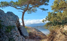 La photo du jour : décembre à Cala Rossa...