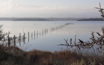 La météo du vendredi 6 janvier 2023 en Corse