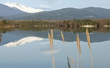 La photo du jour : reflet hivernal sur le plan d'eau d'Alzitone