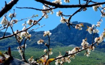 La météo du mardi 11 avril 2023 en Corse