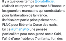 Quand une députée Renaissance apparente les Goumiers au FLNC