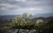 La météo du jeudi 11 mai 2023 en Corse