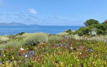 La météo du vendredi 26 mai 2023 en Corse