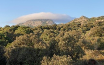 La météo du vendredi 16 juin 2023 en Corse