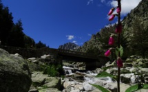 La météo du samedi 17 juin 2023 en Corse