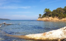 La météo du jour en Corse