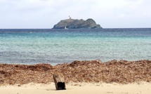 La météo du jour en Corse