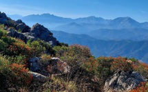 La météo du jour en Corse