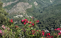 La météo du jour en Corse