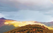 La météo du jour en Corse